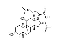 Fusidic Acid