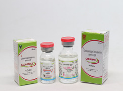 PAMIMAGE (Iopamidol Injection USP) | CPHI Online