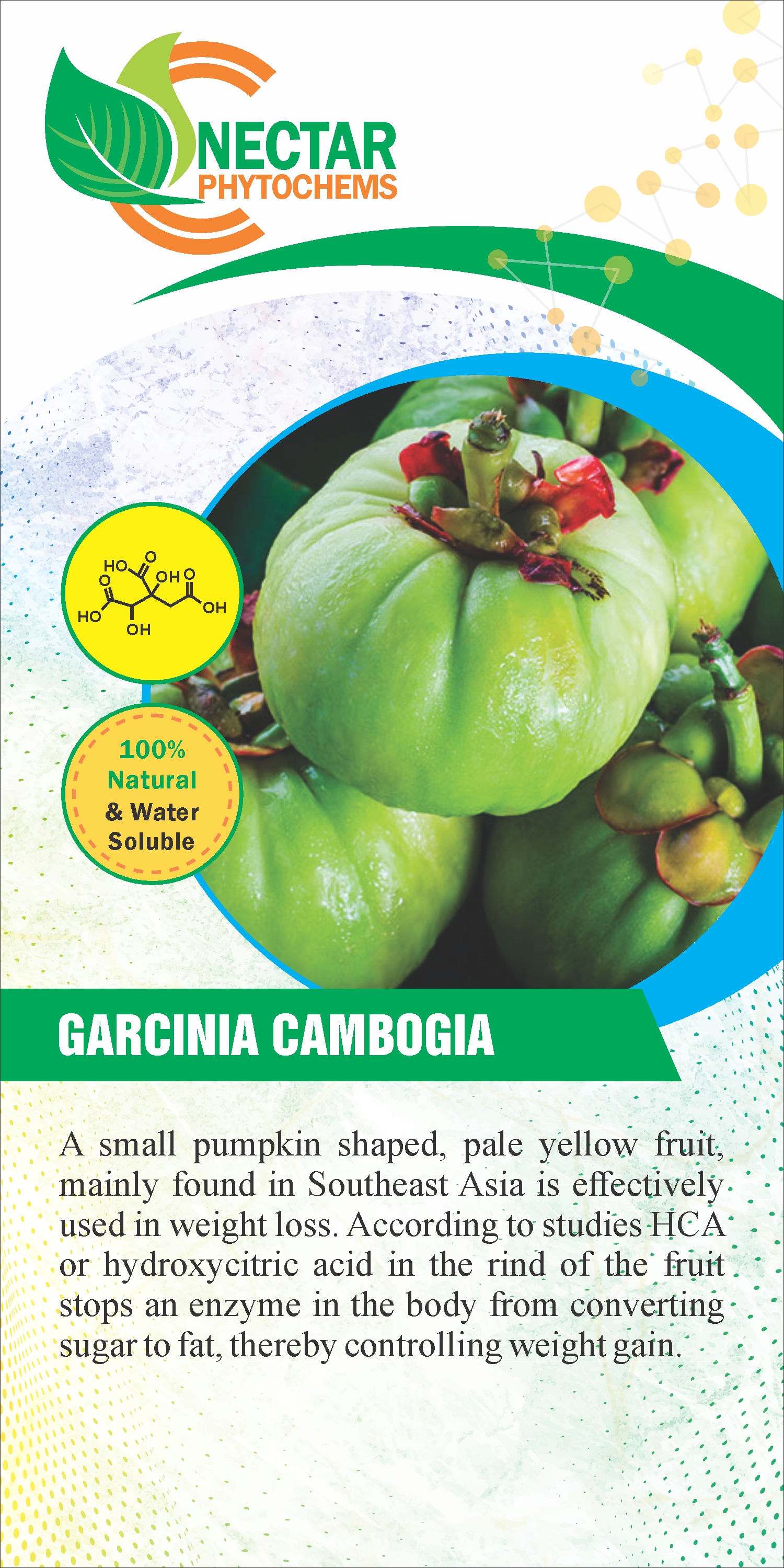 Garcinia cambogia extract