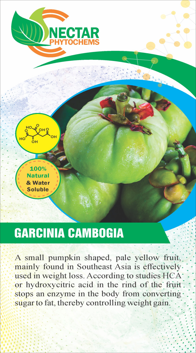 Garcinia cambogia extract