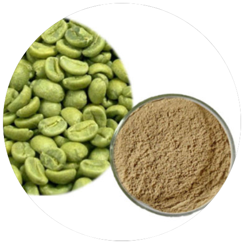 GCB-70 (Green Coffee Bean Extract) 1
