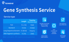 Gene Synthesis