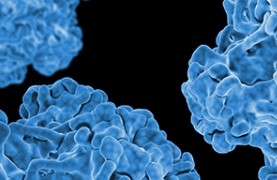 Gene Therapy Characterisation and Release Testing