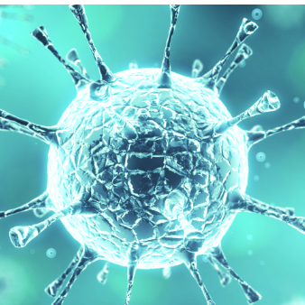 Gene Therapy Services