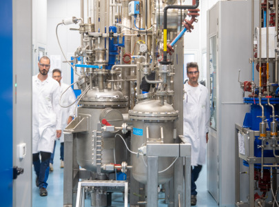 Generic API Manufacturing