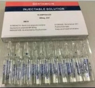 Gentamicin Injection