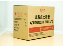 Gentamicin sulphate