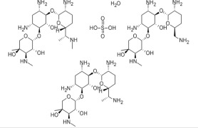Gentamycin Sulphate