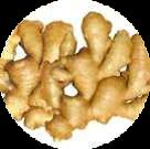 Ginger Extract