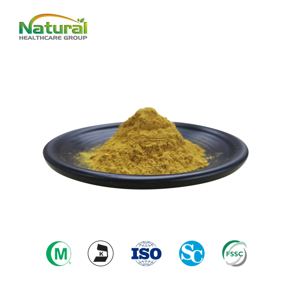 Ginkgo Biloba Extract 2