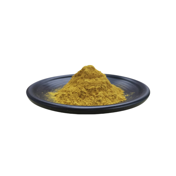 Ginkgo Biloba Extract 1