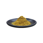 Ginkgo Biloba Extract