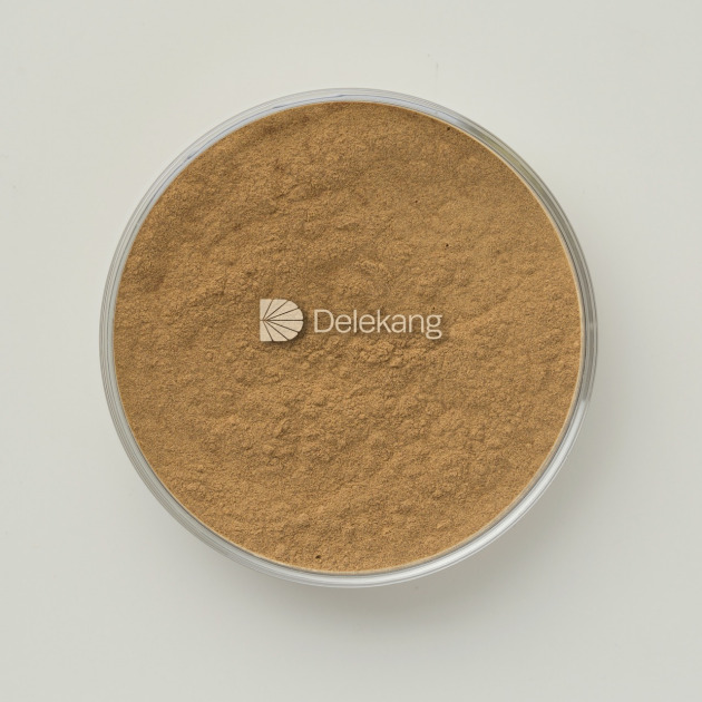 Ginkgo Biloba Extract