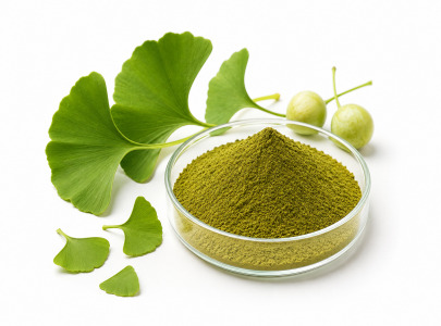 Ginkgo Biloba Extract