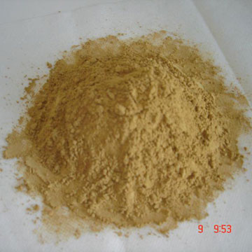 Ginkgo Biloba Extract