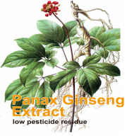Ginseng Extract