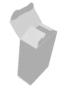 Glue-less Tamper Evident folding box 1
