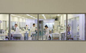 GMP Analytical development and validation services