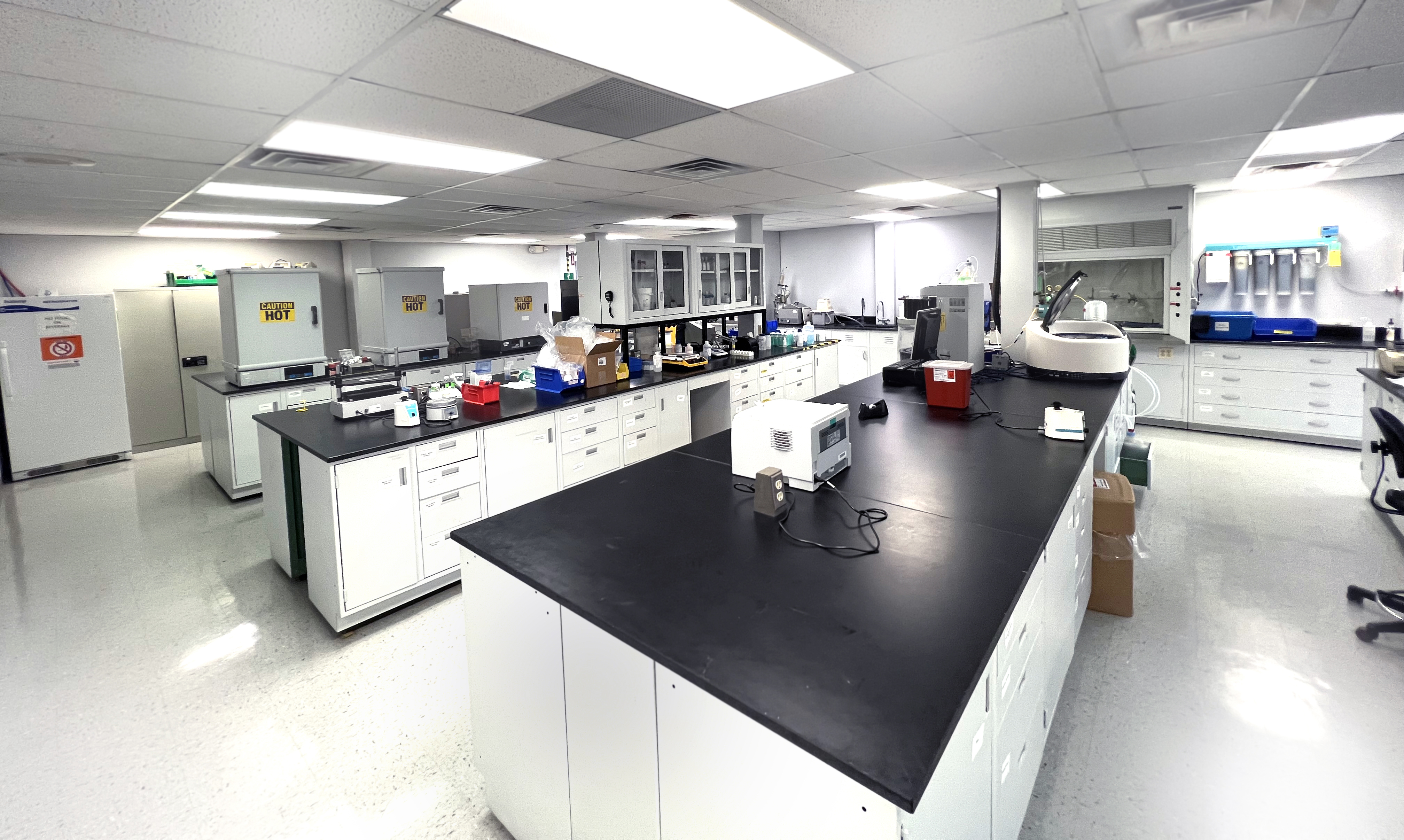GMP and CMC Laboratory Services 2