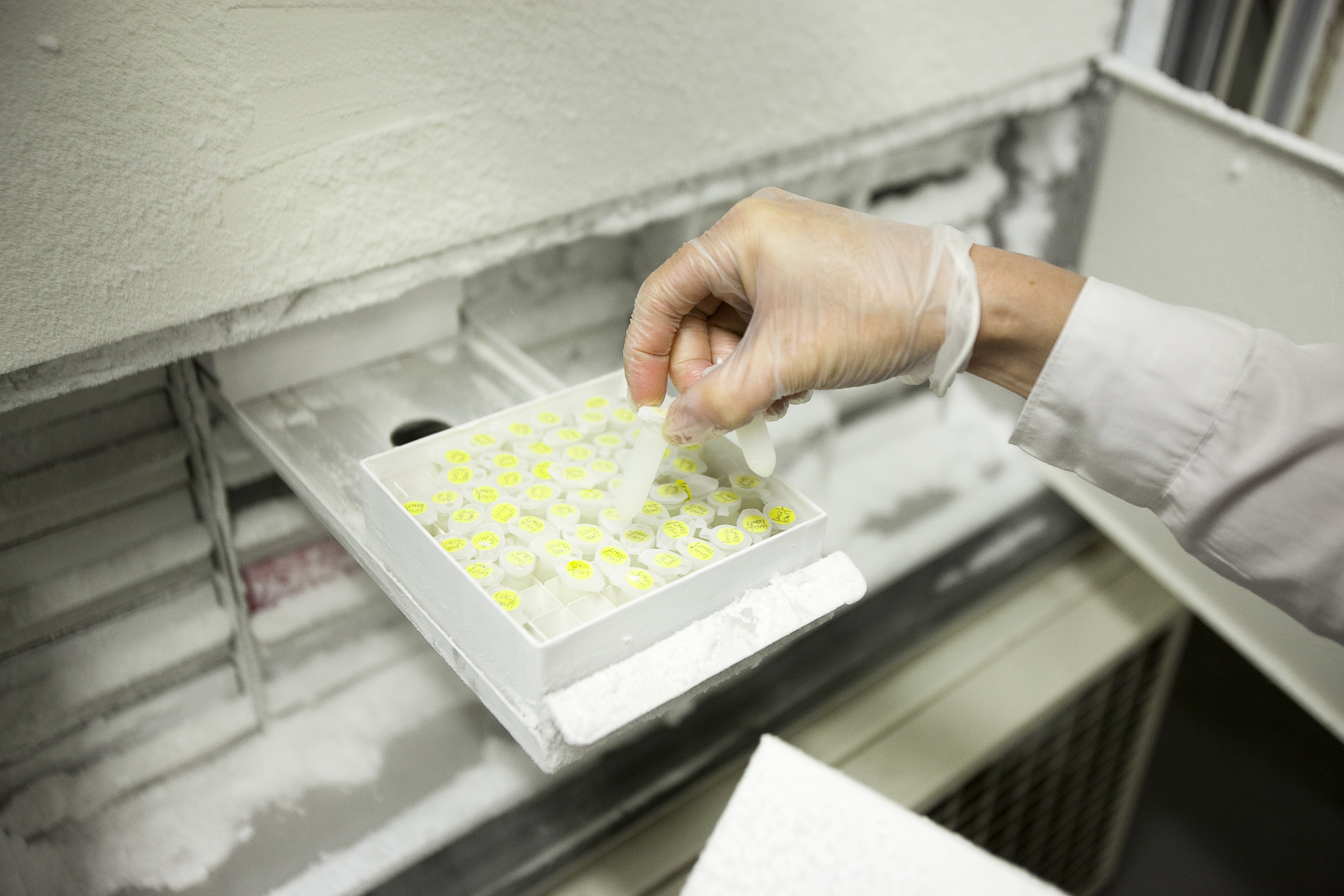 GMP Cell & Virus Bank Storage