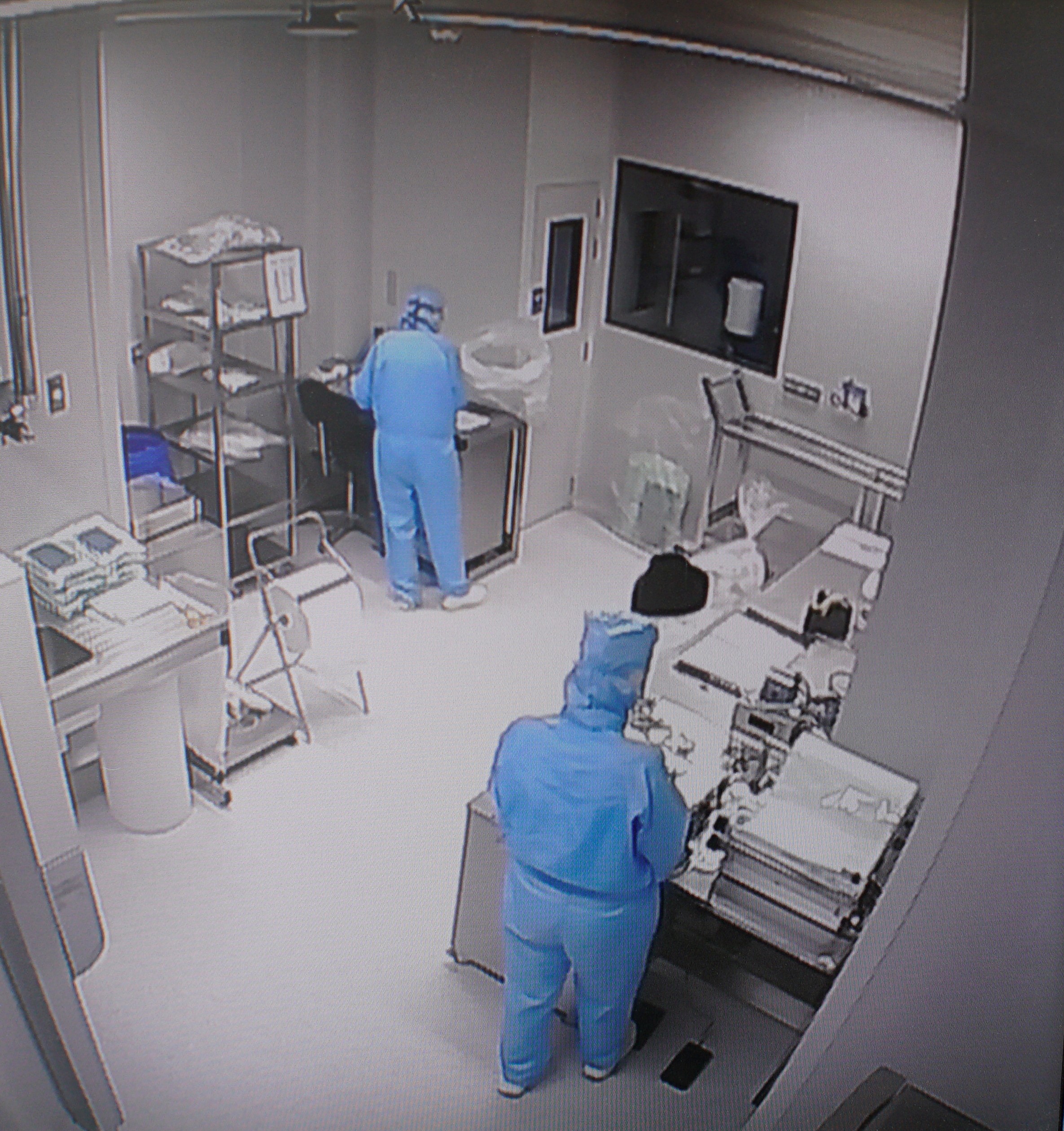 GMP Manufacturing