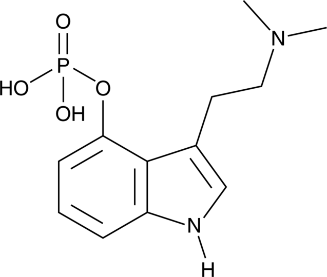GMP Psilocybin
