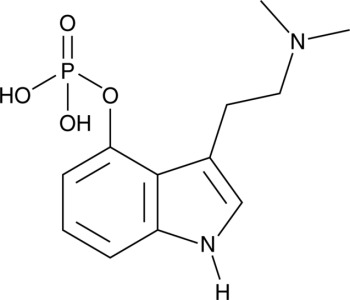 GMP Psilocybin