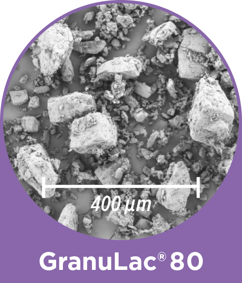 GranuLac® 80