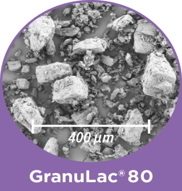 GranuLac® 80