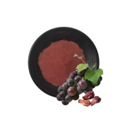Grape Seed Extract
