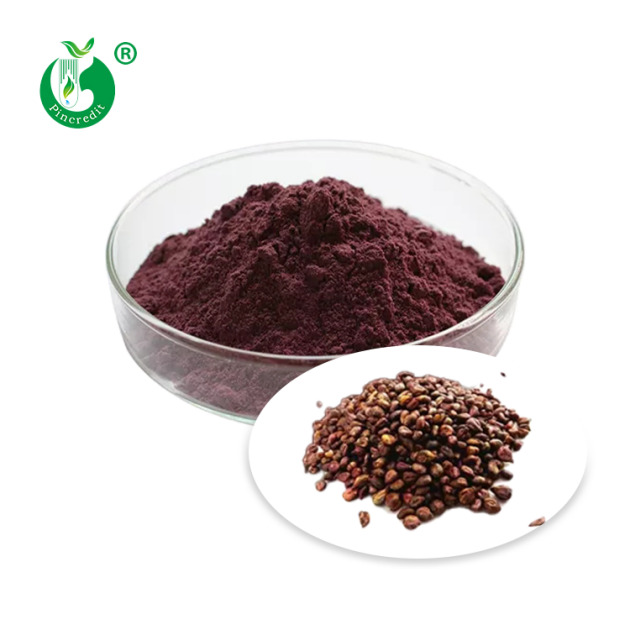 Grape Seed Extract