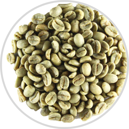Green Coffee Bean Extract