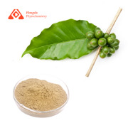 Green Coffee Bean Extract Chlorogenic Acid 50%
