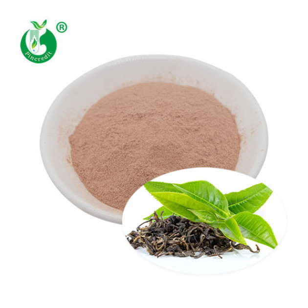Green Tea Extract Powder