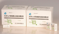 Group ACYW135 Meningococcal Polysaccharide Vaccine