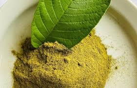 Guava Leaf Extract
