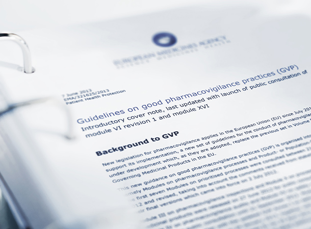 GVP-Audits services