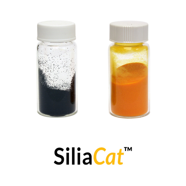 Heterogeneous Catalysts