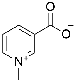 High Purity Trigonelline（CAS:535-83-1）