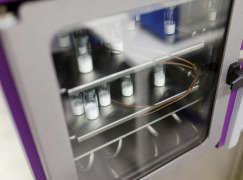 Highly Potent API Drug Product Development