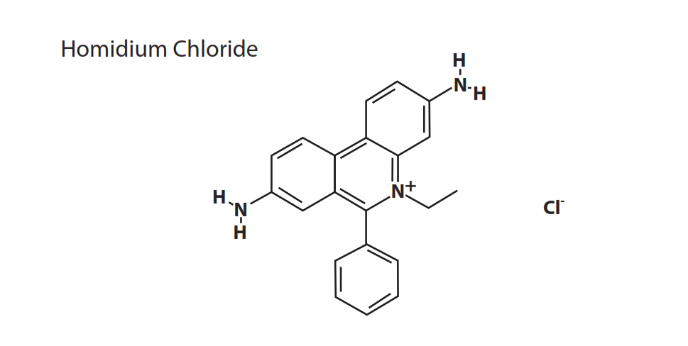 Homidium Chloride