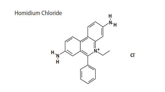 Homidium Chloride