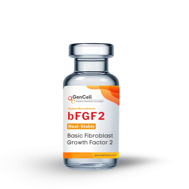 Human Recombinant Fibroblast Growth Factor (bFGF2),  Heat-Stable