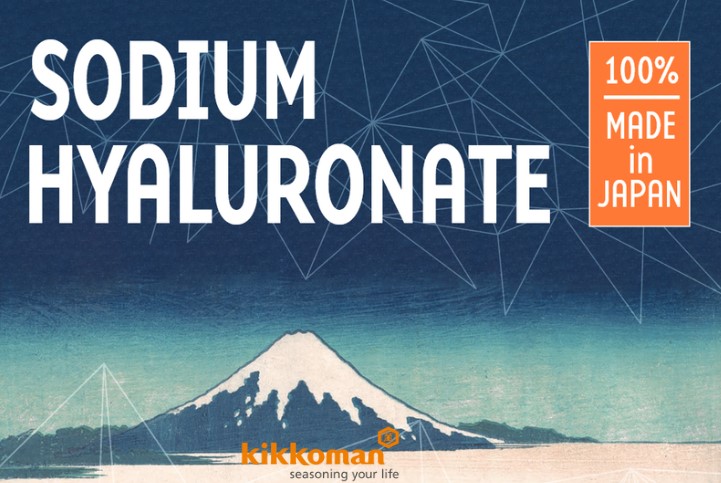 Hyaluronans pharmaceutical grade by Kikkoman 1