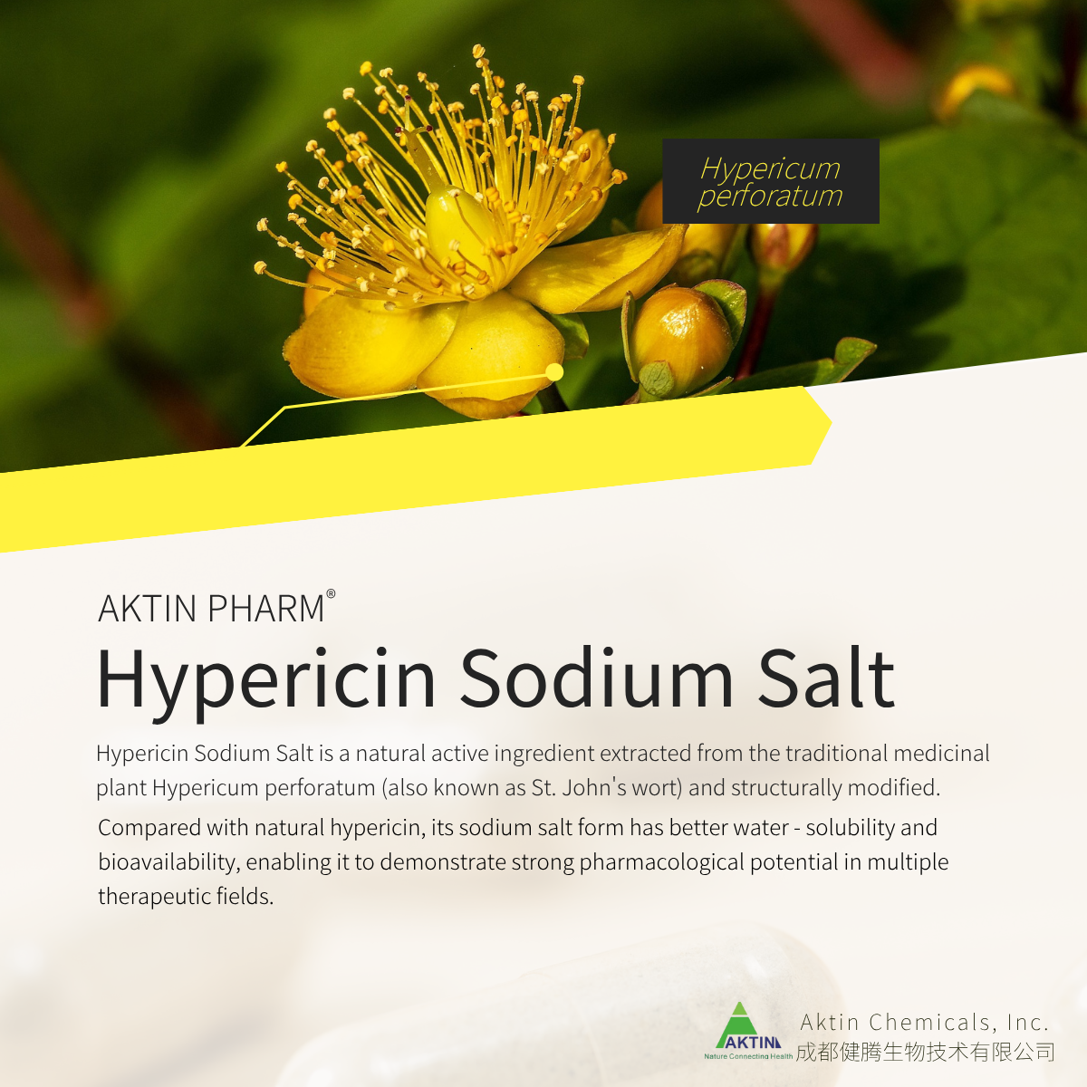 Hypericin Sodium 1