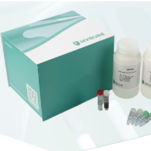 HyPrecise® Biosafety & QC Detection Kits