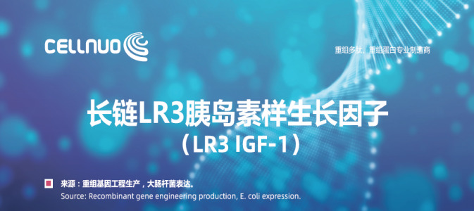 IGF LR3