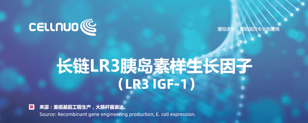 IGF LR3 | Nanjing Cellnuo Biotechnology Co.,Ltd. | CPHI Online