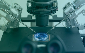 In-Vitro Fertilisation Automation