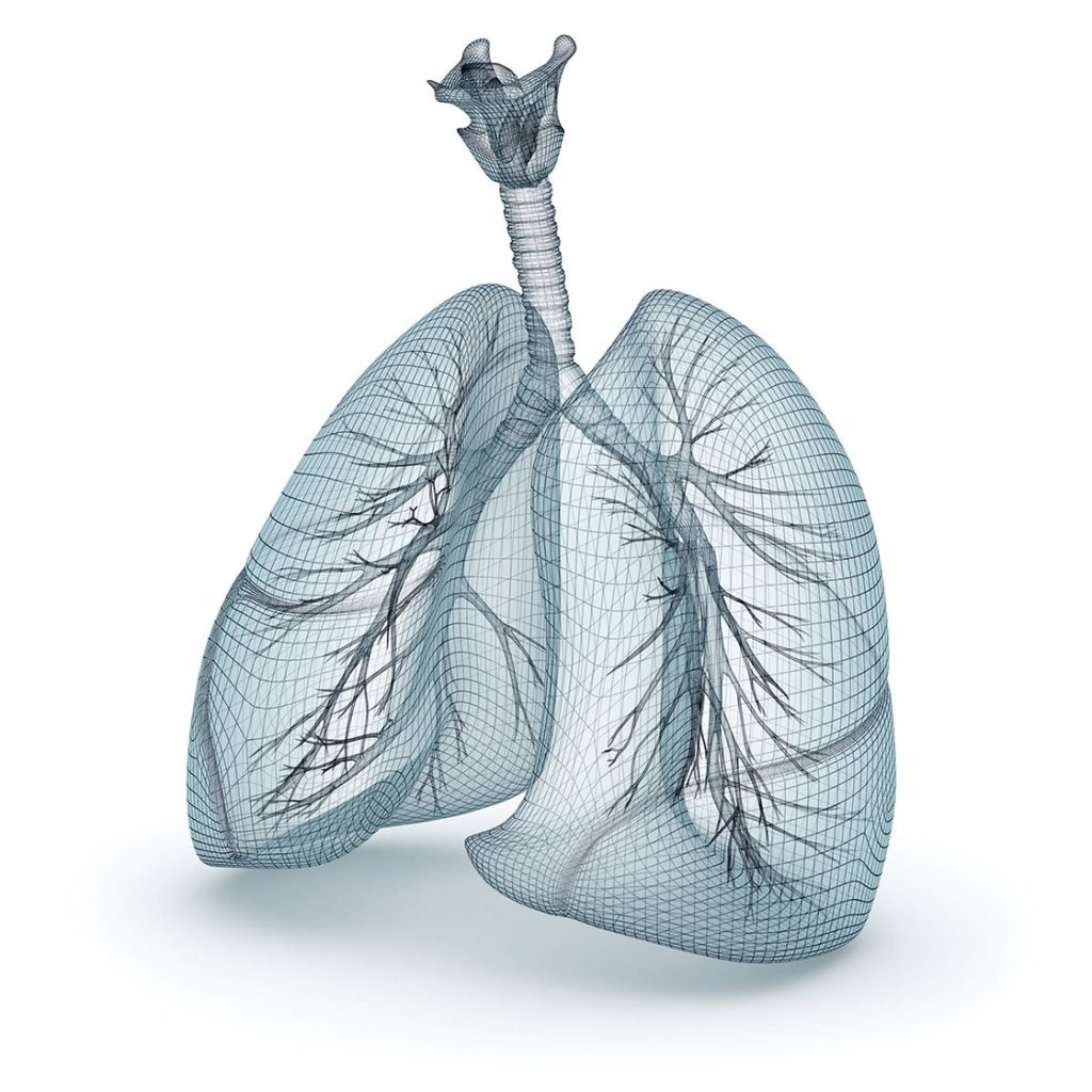Inhalation Test Services